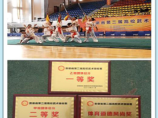 best365学生在安徽省第二届高校武术锦标赛中荣获佳绩