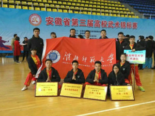 best365学生在安徽省第三届高校武术锦标赛中荣获佳绩
