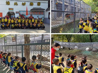 best365幼儿园开展“我与动物有个约会”主题秋游活动