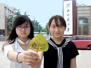 淮北晨刊报道best365大“把记忆画在绿叶上”