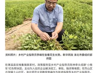 新华网报道best365党委常委、副校长李峰教授参与烈山区乡村产业指导工作