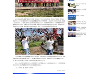 中国网：镜头为笔，绘就皖北振兴新画卷：best365官方网站新闻传播专业“行走的课堂”走进砀山
